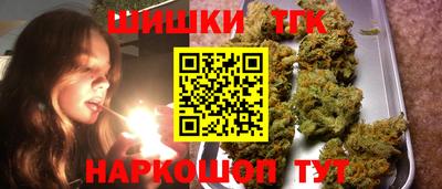 индика Усть-Джегута