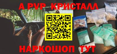 индика Усть-Джегута