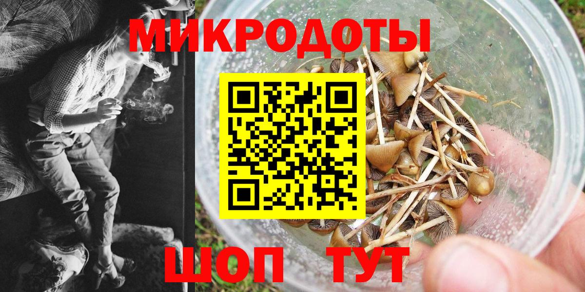 хочу наркоту  Вход с VPN  Россошь  Галлюциногенные грибы MAGIC MUSHROOMS 